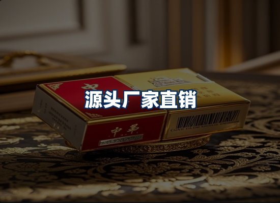 专业团队办公环境